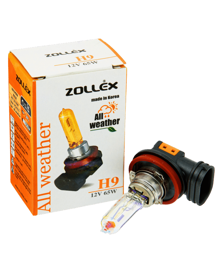 Halogen Bulb